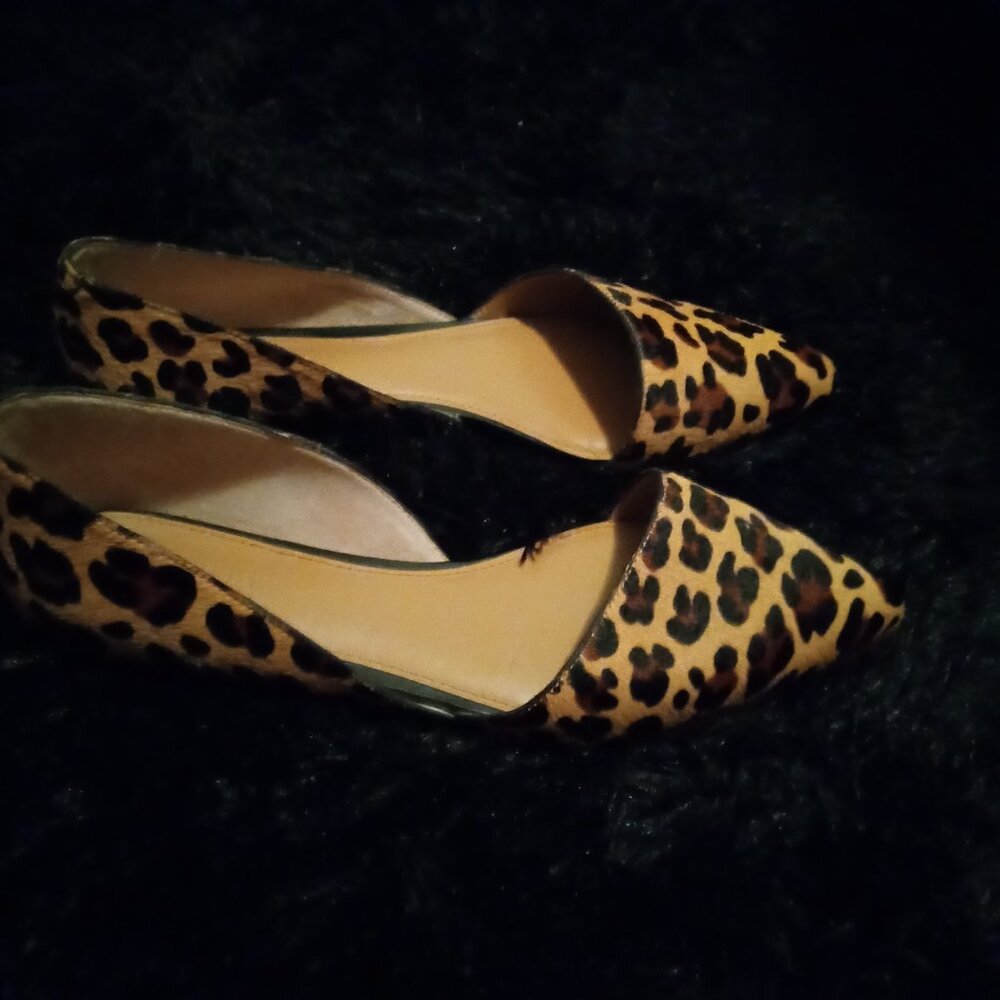 Velvet J.Crew Factory Pointed toe leopard flats, 8